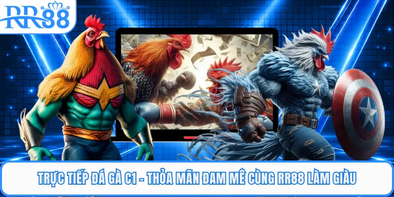Trực Tiếp Đá Gà C1 - Thỏa Mãn Đam Mê Cùng RR88 Làm Giàu